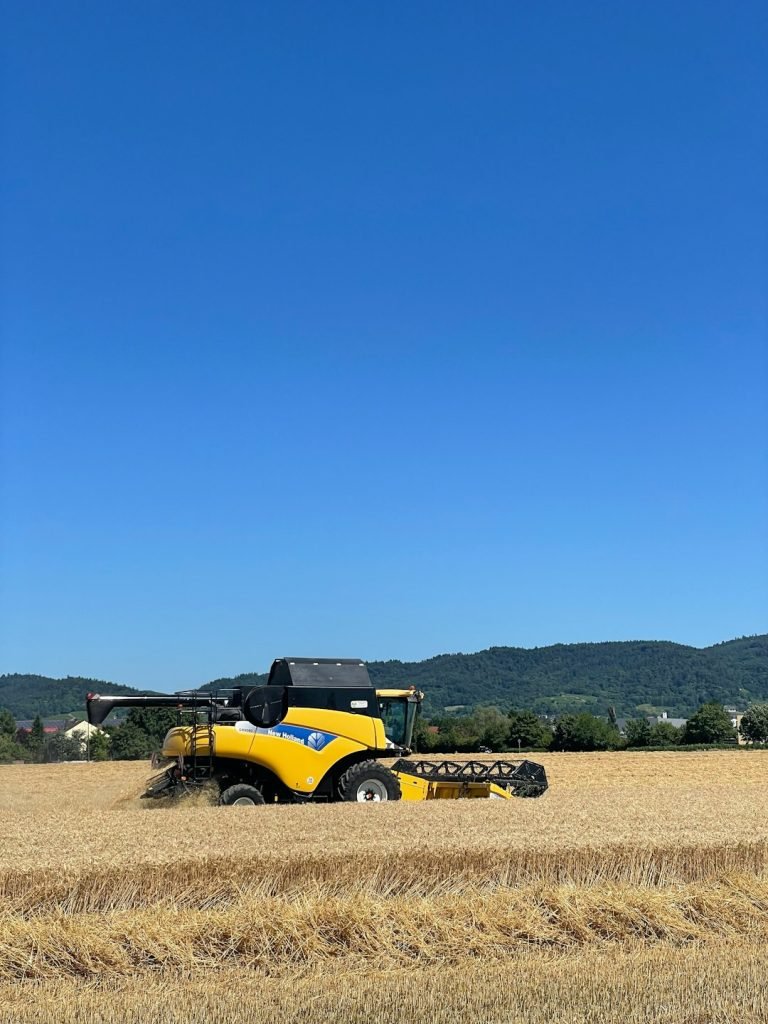 a-yellow-truck-in-a-field-stmfp9nyo8c